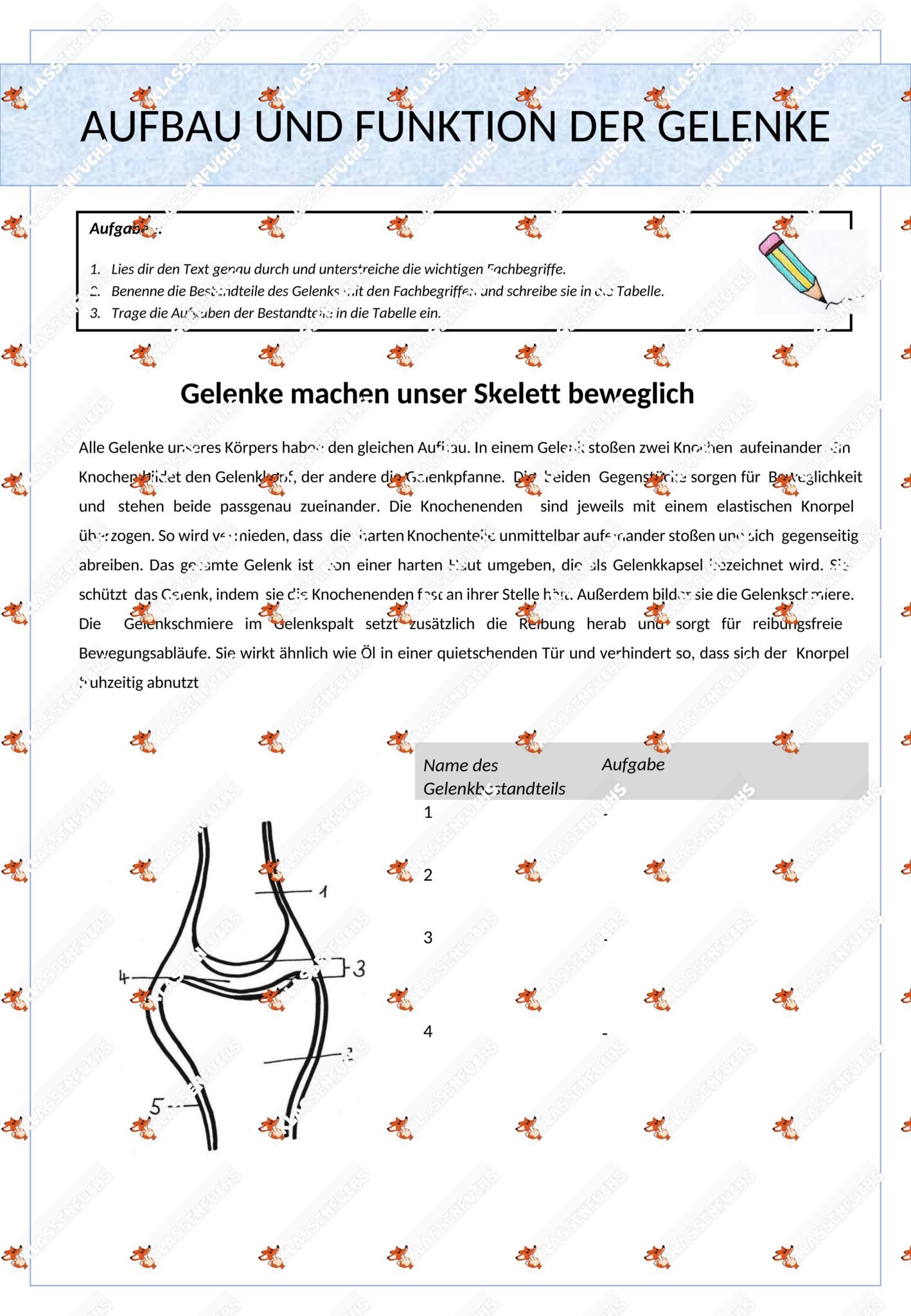 Klassenfuchs Image