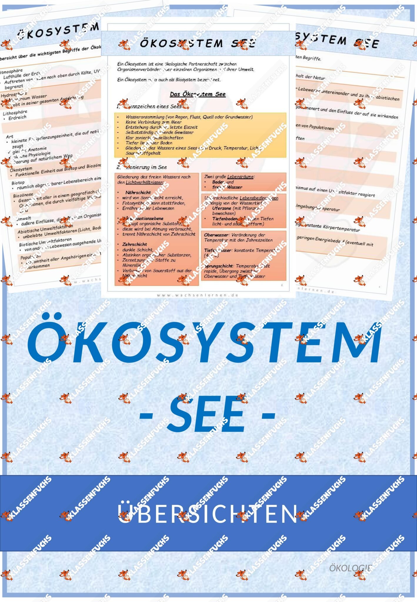 Biologie: Ökosystem See – Übersicht - Klassenfuchs