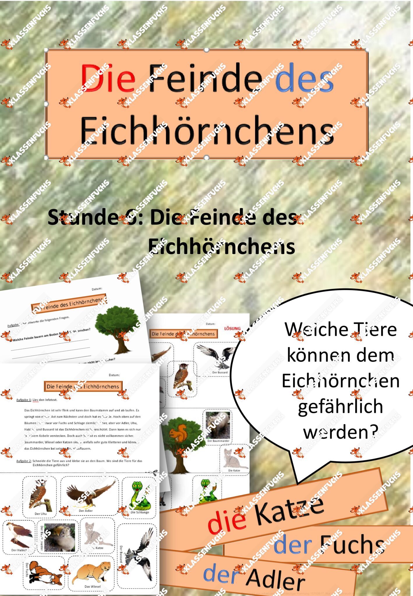 Klassenfuchs Image