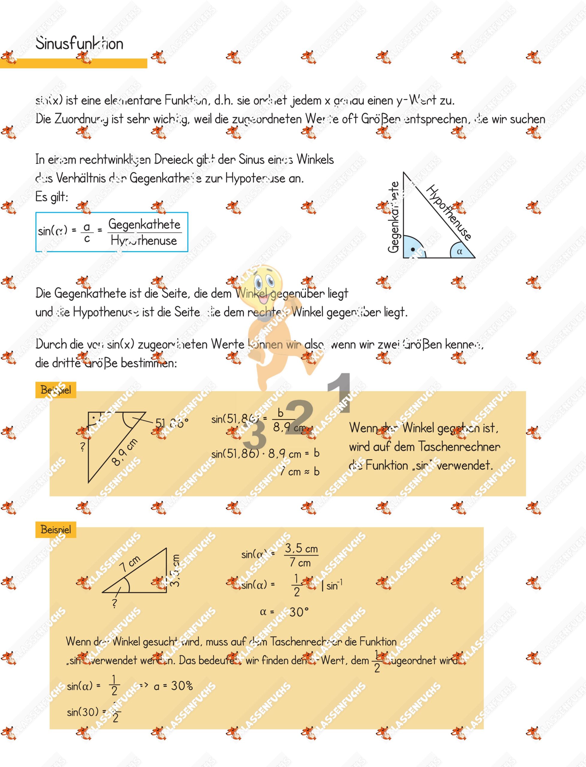 Klassenfuchs Image