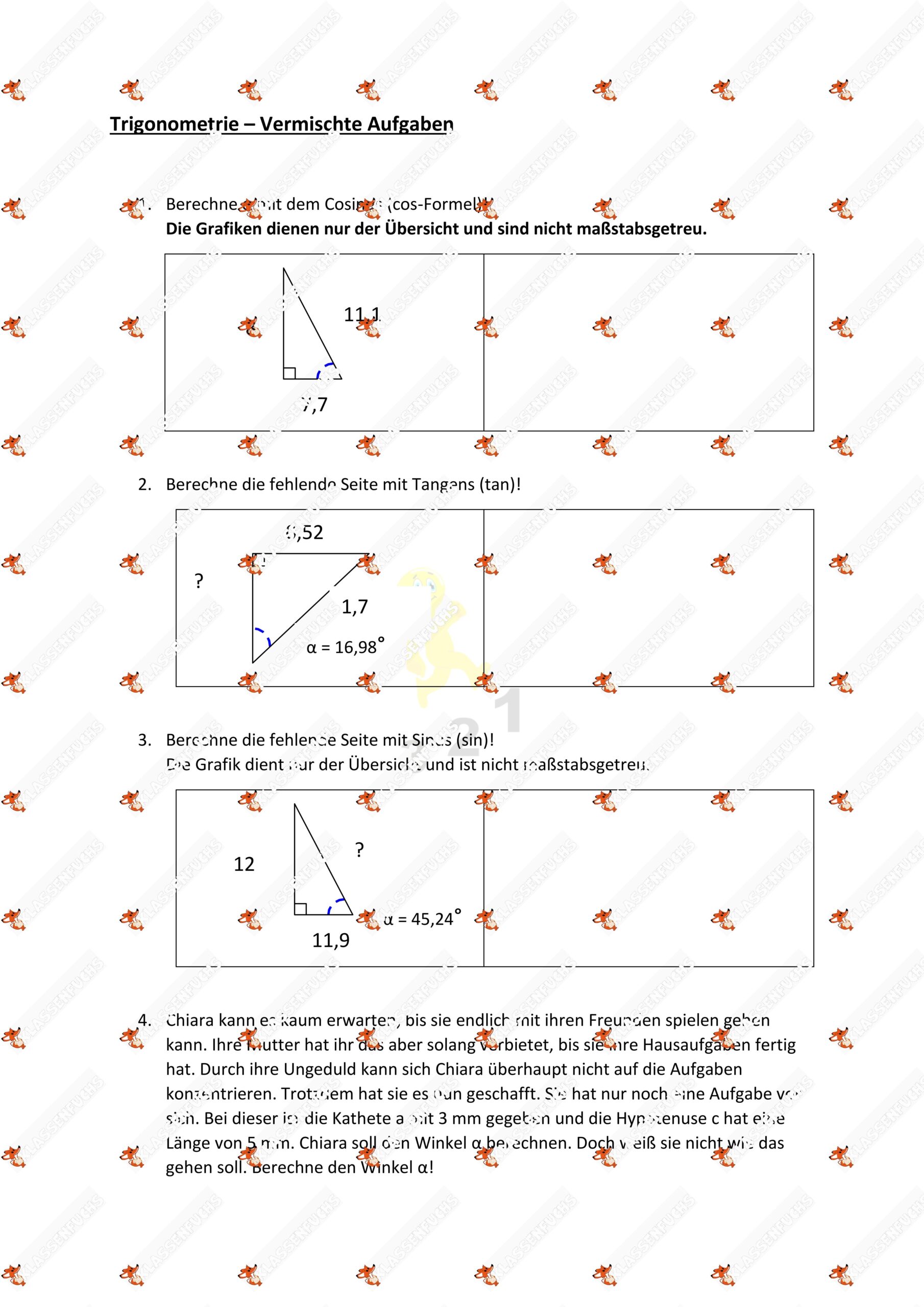 Klassenfuchs Image