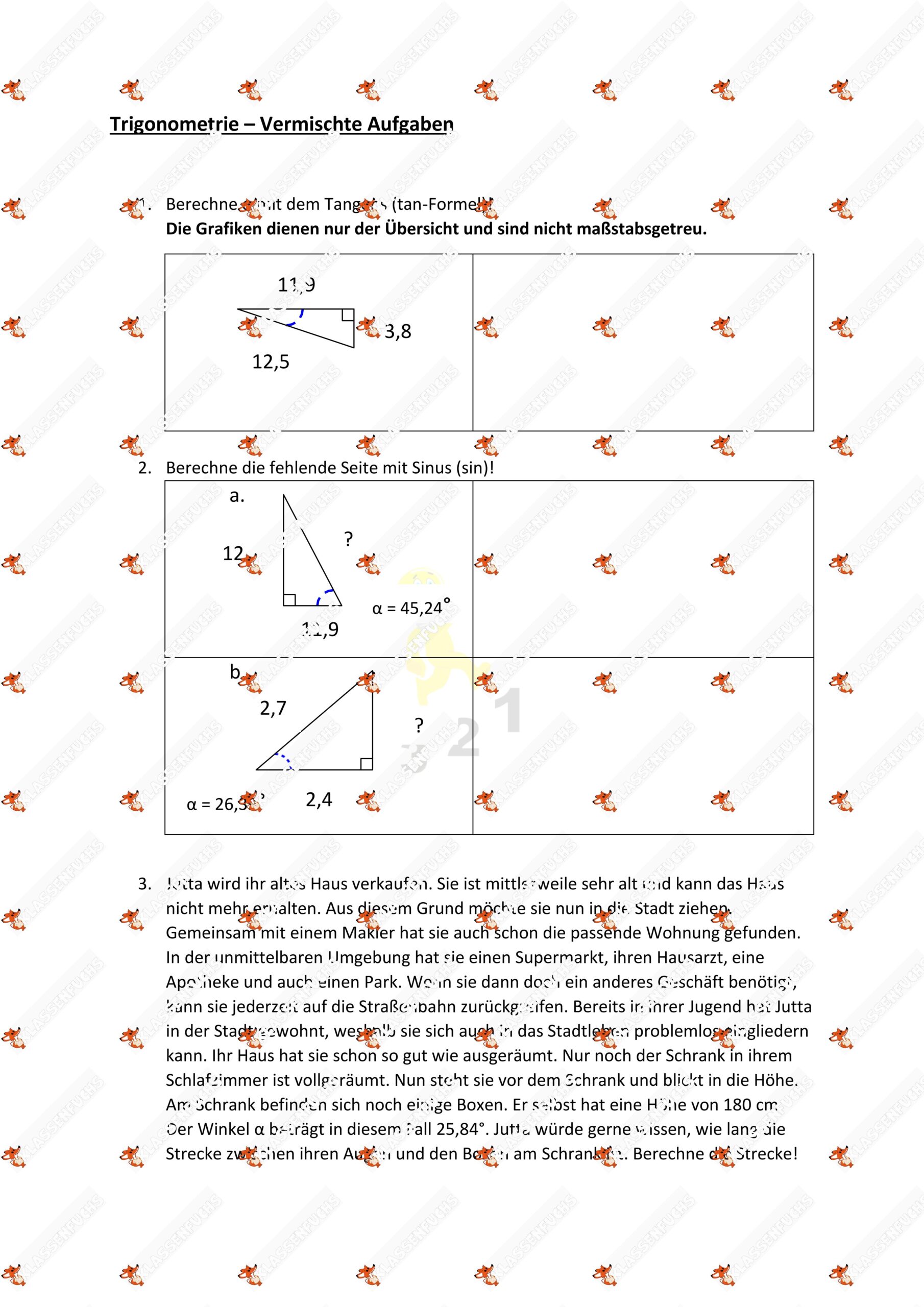 Klassenfuchs Image