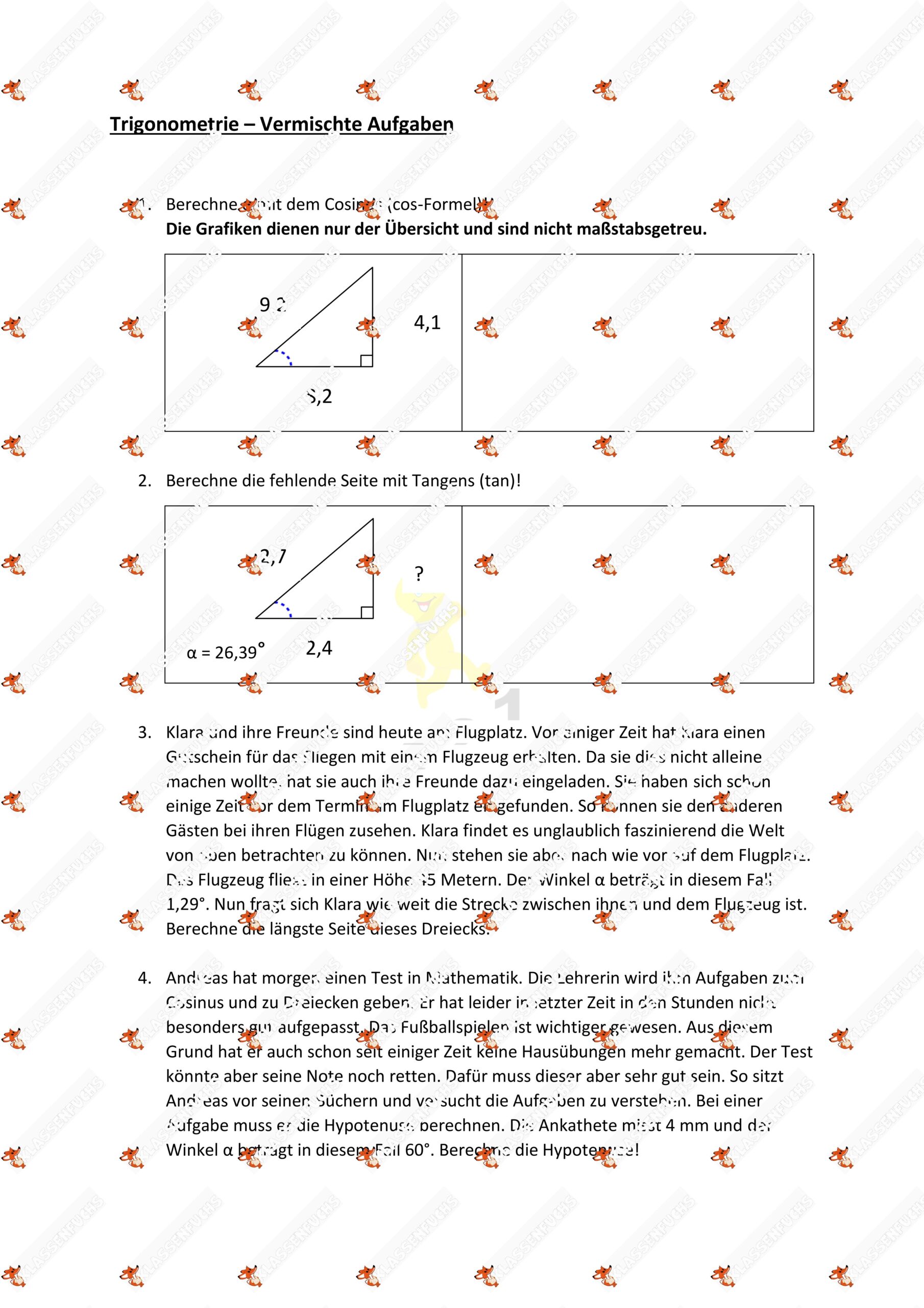 Klassenfuchs Image