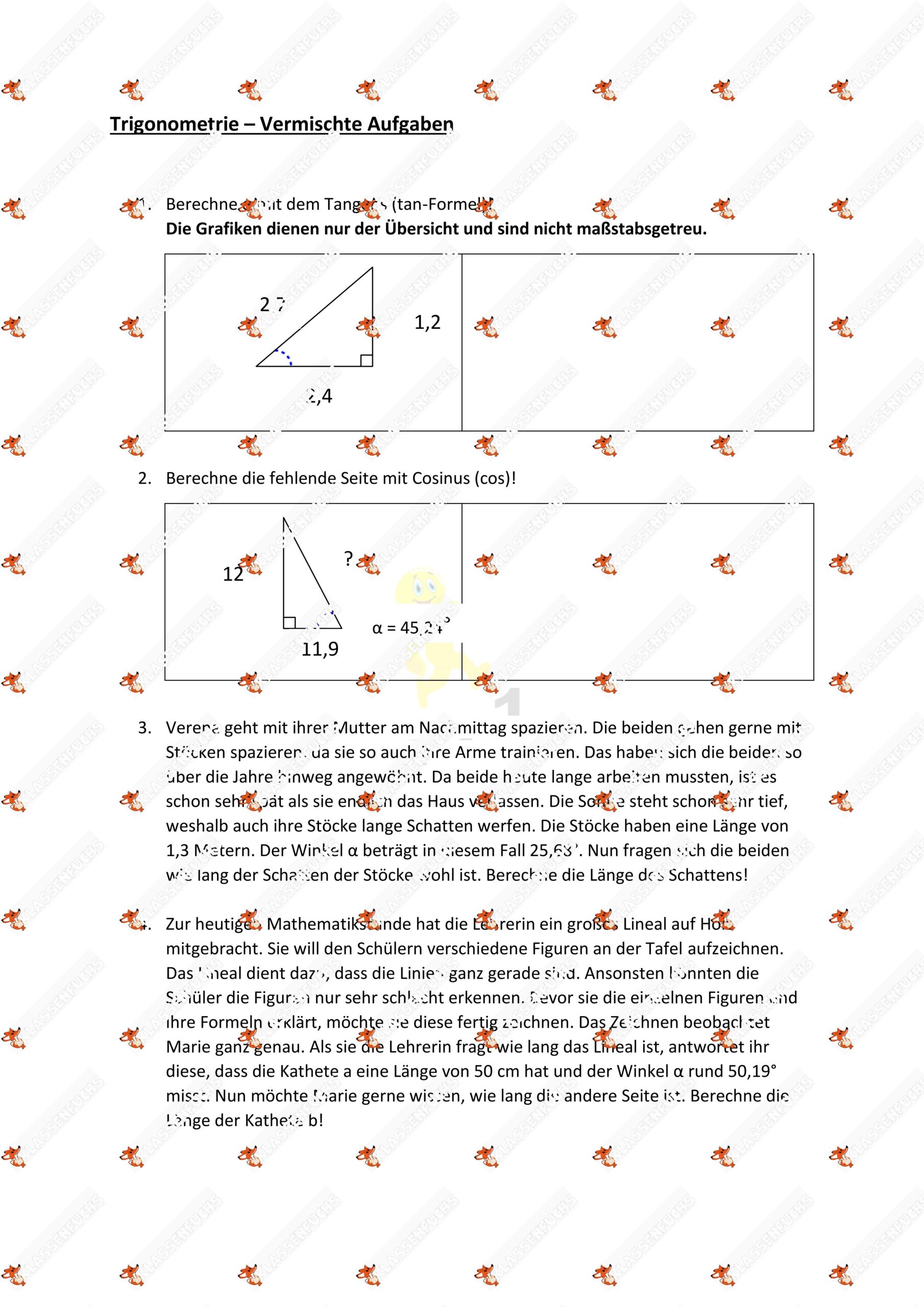 Klassenfuchs Image