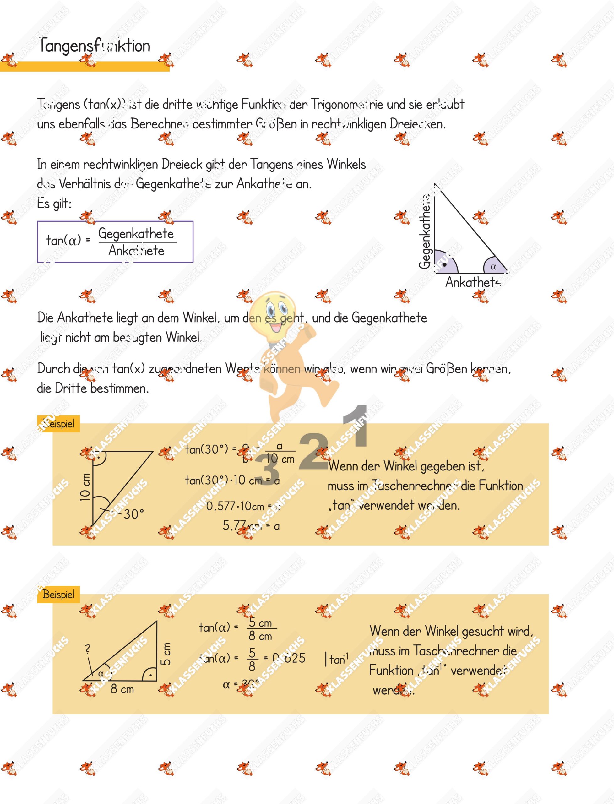 Klassenfuchs Image